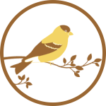 bird graphic